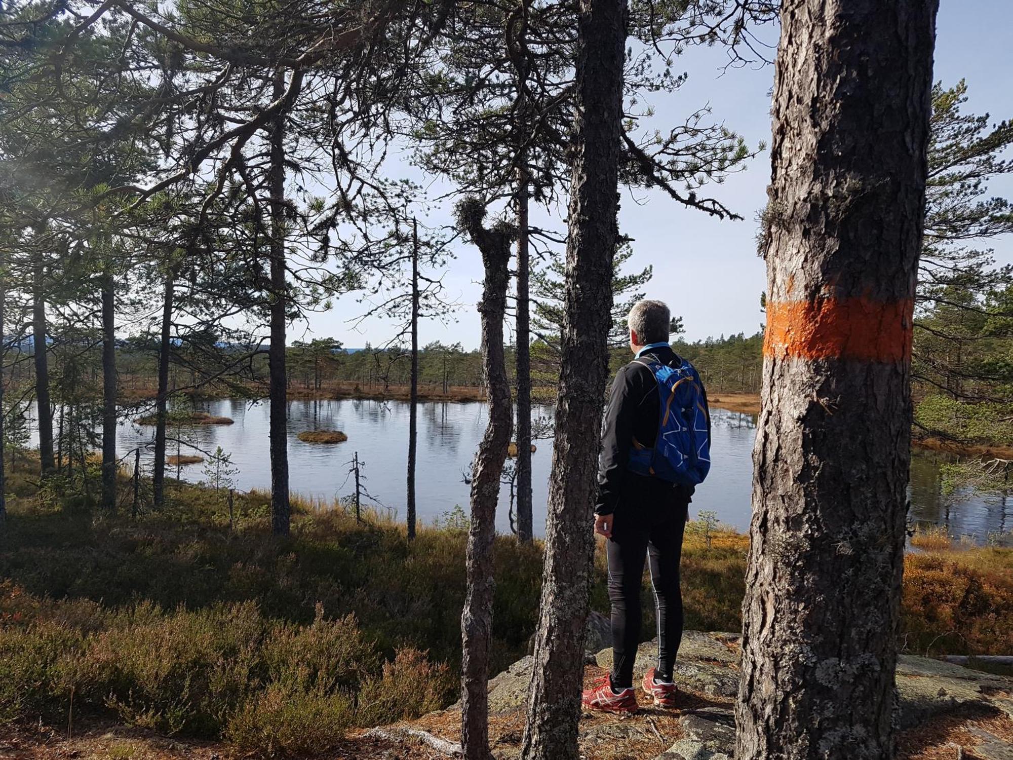 Ulvsby Herrgard Sunne Bagian luar foto