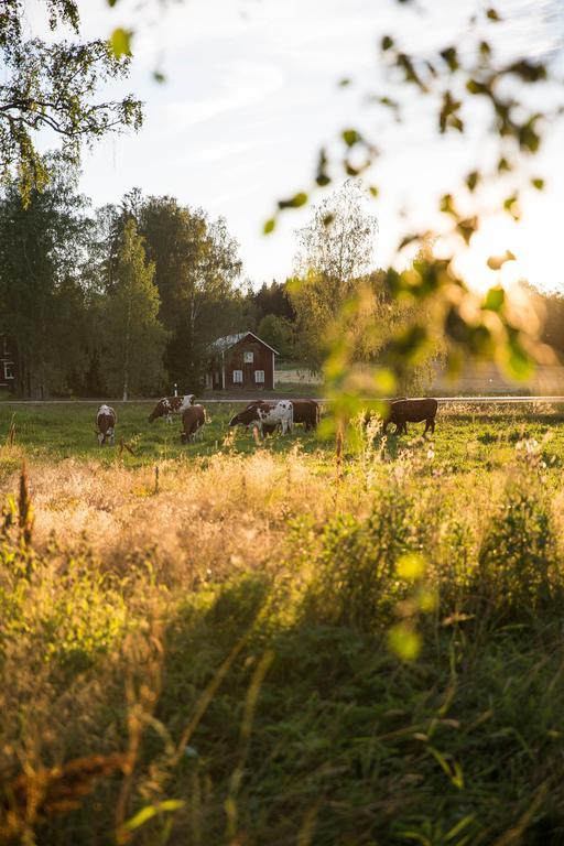 Ulvsby Herrgard Sunne Bagian luar foto